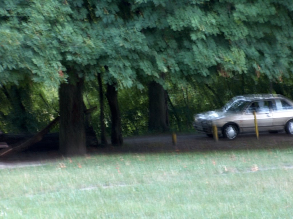 HPIM5182.JPG