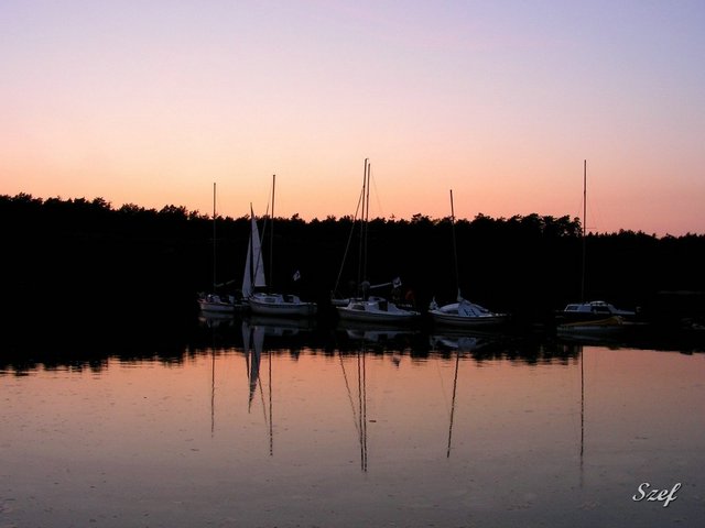 PICT2316.jpg