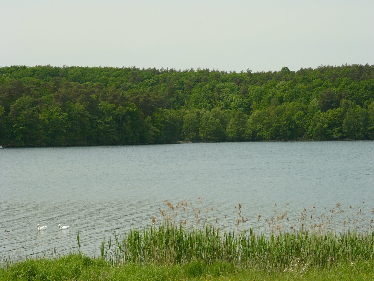 P1070935.JPG