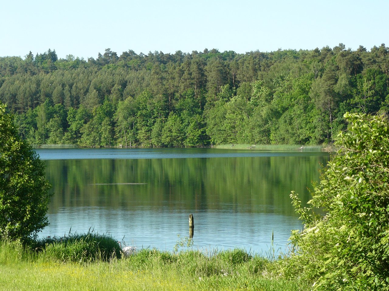 P1080123.JPG