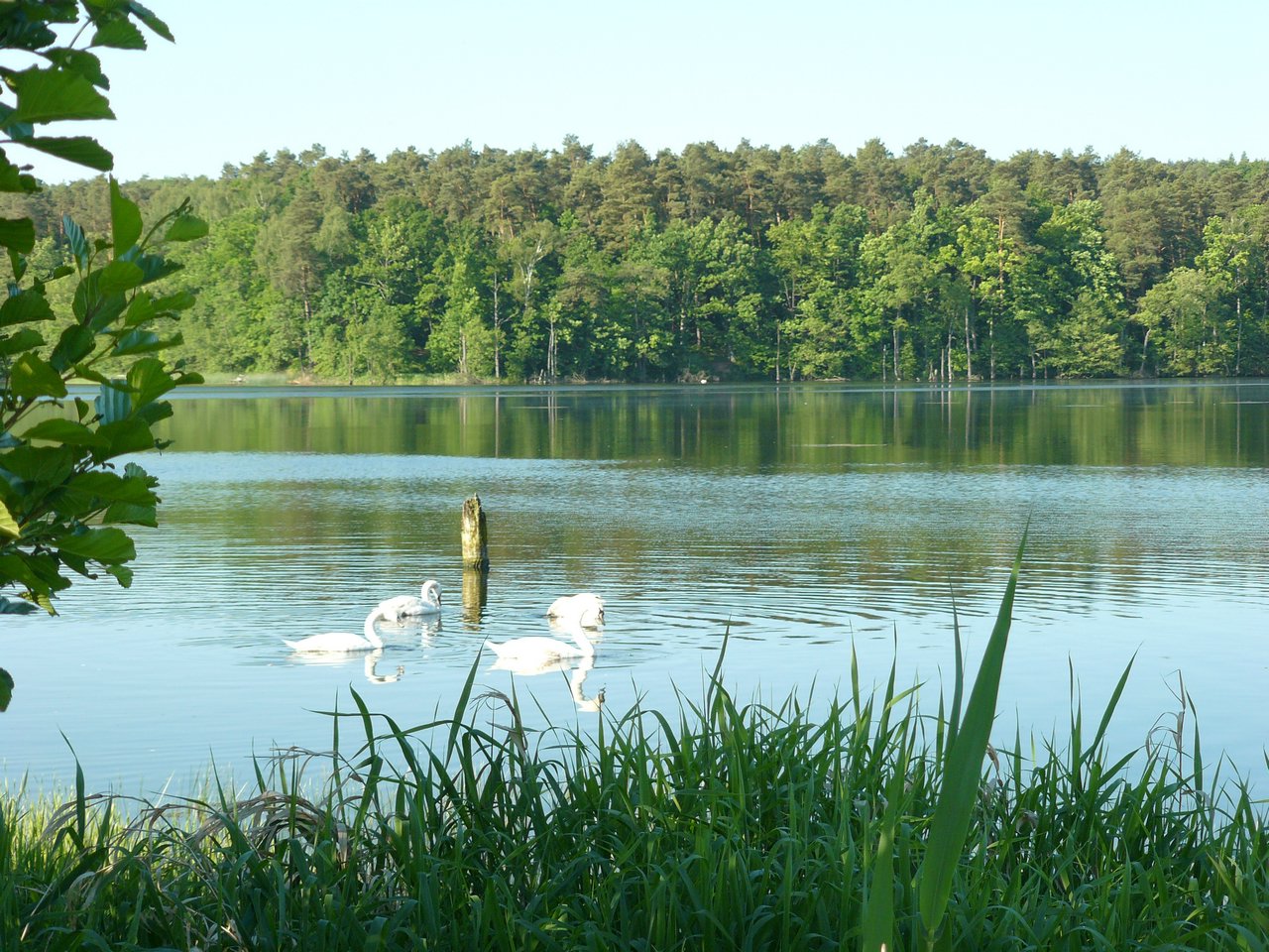 P1080126.JPG